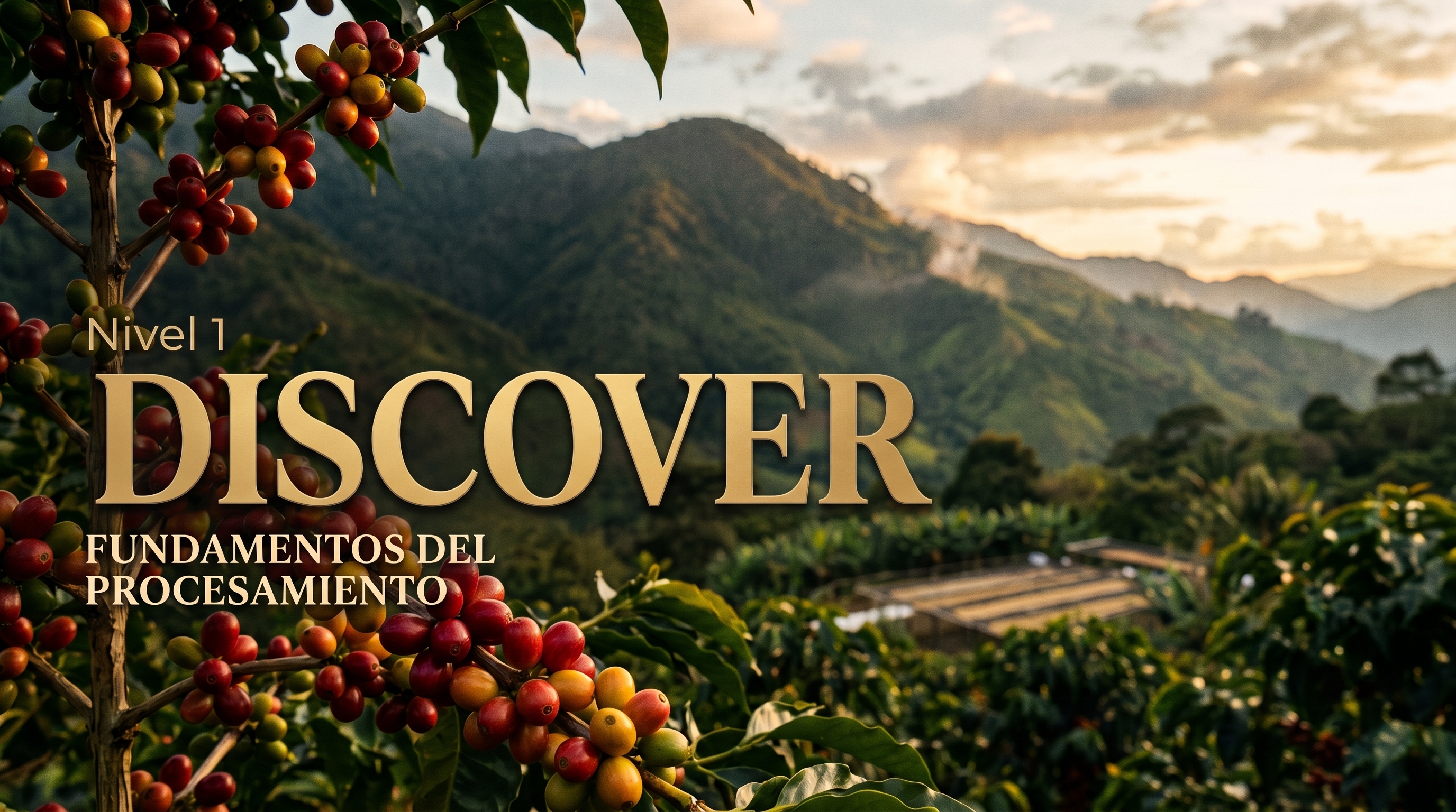DISCOVER Fundamentos del Procesamiento